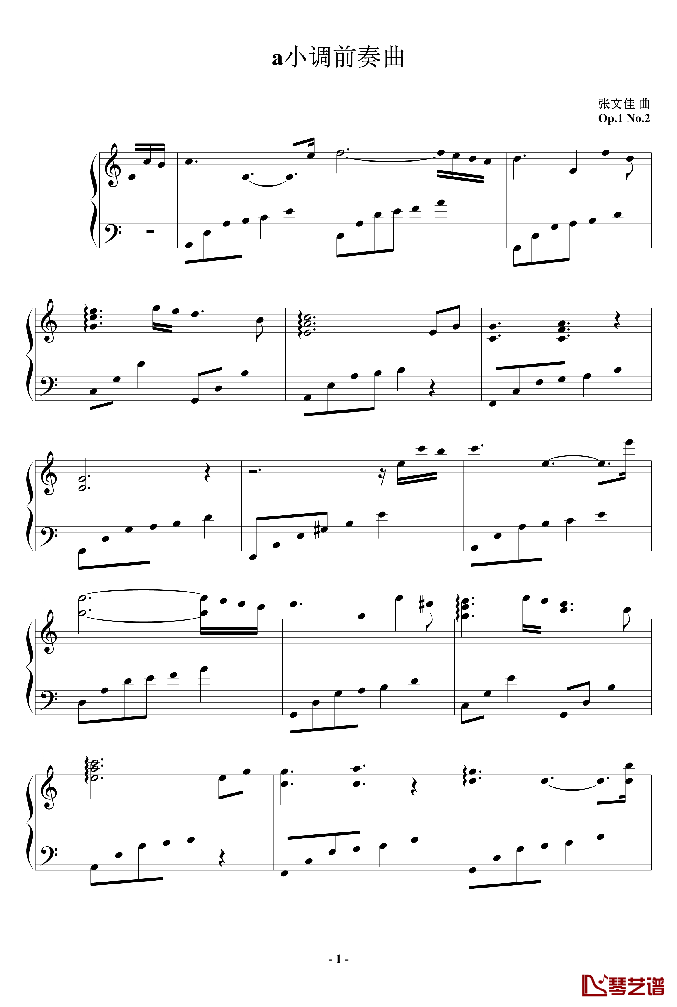 a小调前奏曲钢琴谱-黑白键卧龙1