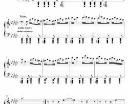 海边的狂女之歌钢琴谱 Op.31 No.8-阿尔坎