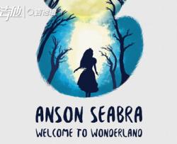 Welcome to Wonderland吉他谱-Anson Seabra-C调原版